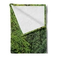 thumbnail image 2 of Appalachian Soft Flannel Fleece Throw Blanket, Streaming Water Creek in Spring Forest Trees and Bushes, Cozy Plush for Indoor and Outdoor Use, 50" x 60", Lime Green Sage Green, by Ambesonne, 2 of 5