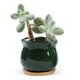 thumbnail image 4 of Maceta de cerámica para plantas suculentas con grietas de de 3 unidades, kusrkot Maceta suculenta, 4 of 8