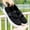 Black, variant on Orthopedic Casual Shoes for Women Arch Support Slip on Non Slip Golf Shoes Wide Width Mesh Stretch Server Shoes Comfortable 2026 Foam Shoes Black 9 Wide