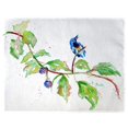 thumbnail image 1 of Betsy Drake PM1072 Oiseau & Mûres Set de 4 Tapis de Table - Lot de 4, 1 of 1