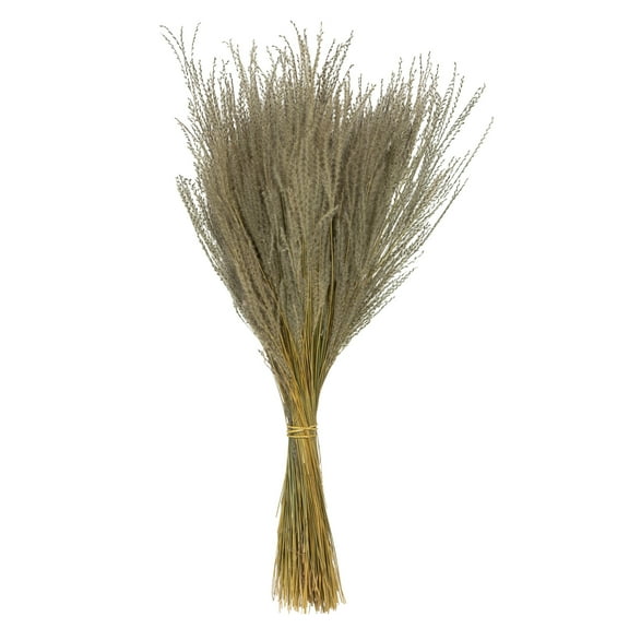Vickerman 14-20" Natural Snowdrop Grass, 3 pack, Dried