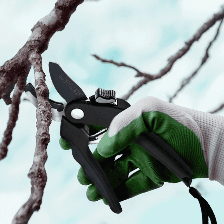 Anvil pruners 2024 home depot