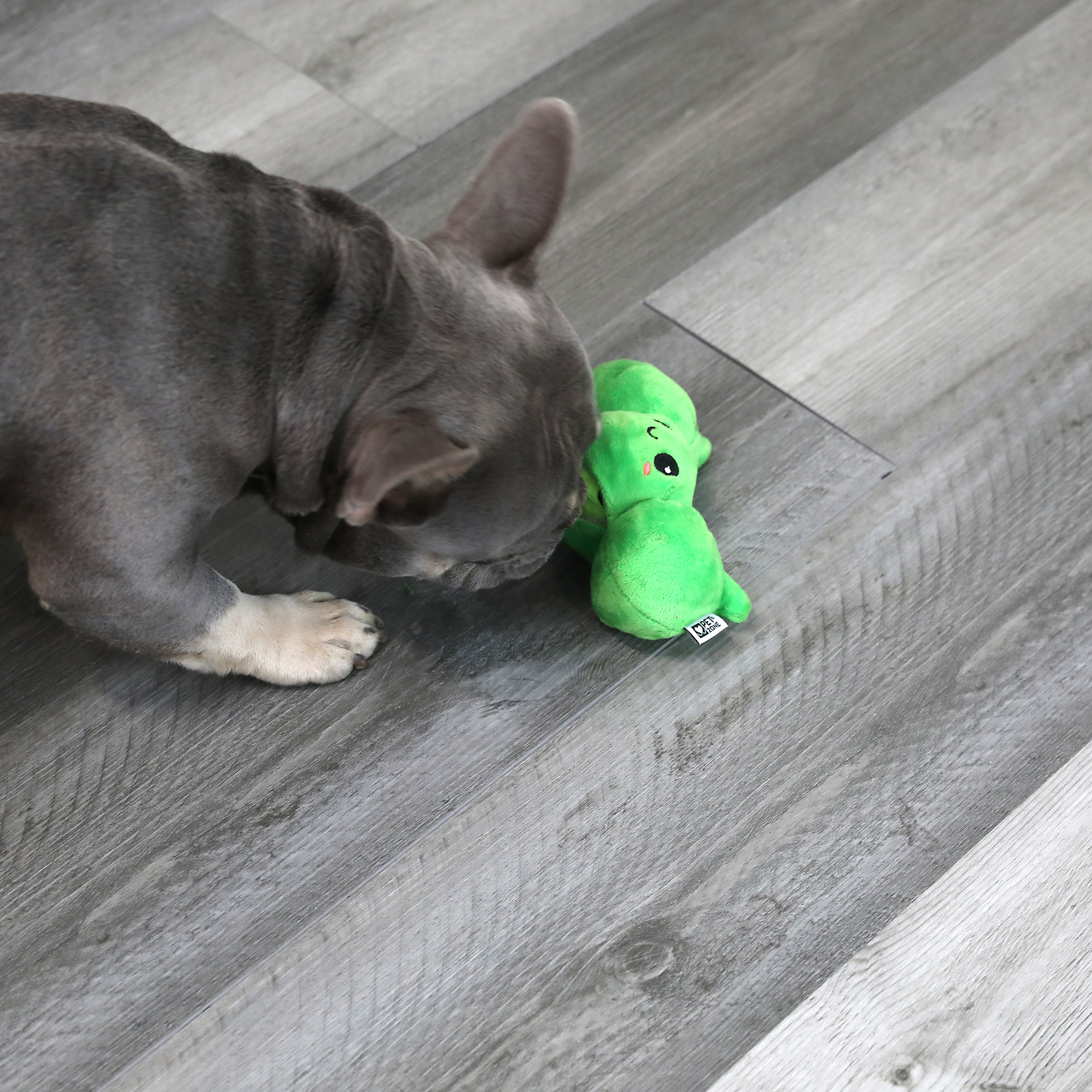 Vegetable Dog Toys: Plush Carrot, Peas in a Pod & Pumpkins – P.L.A.Y.