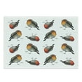 thumbnail image 1 of Bird Print Cutting Board, Robin Redbreast Breed in Watercolor Style, Decorative Tempered Glass Cutting and Serving Board, in 3 Sizes, by Ambesonne, 1 of 2