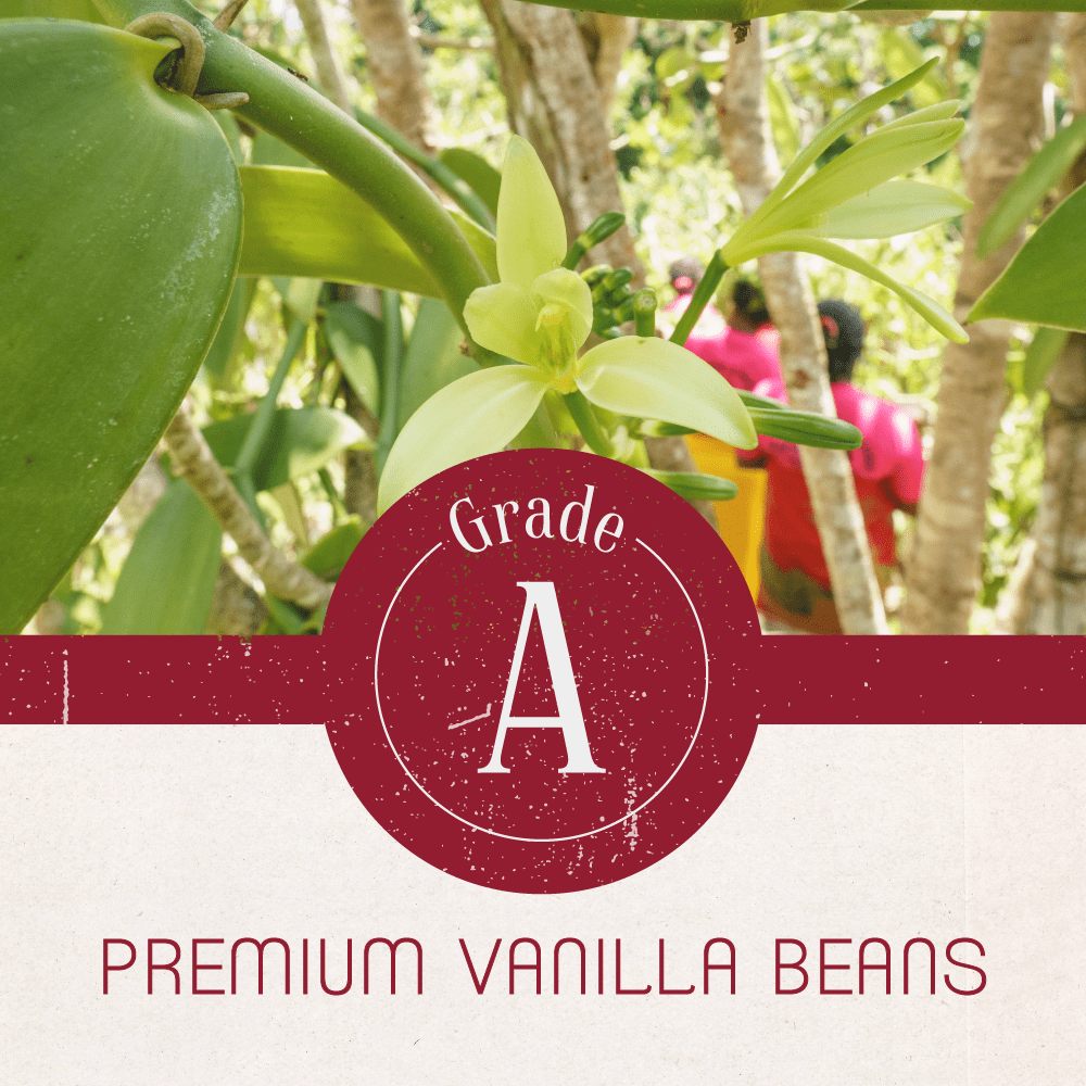 Cook’s, Madagascar Organic Vanilla Beans, Grade A, World’s Finest Gourmet Fresh Premium Vanilla, Certified Organic by CCOF, 25 Whole Beans