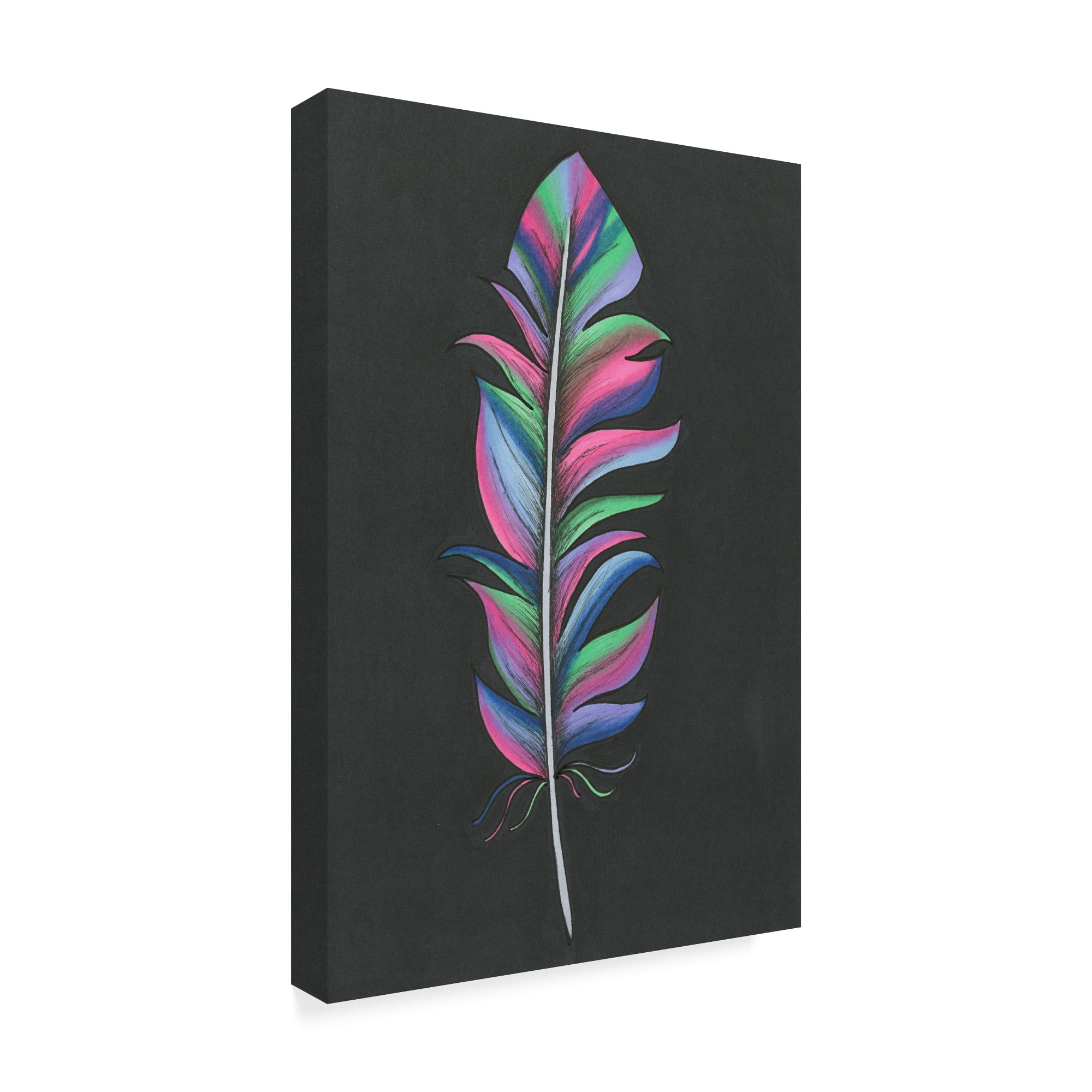 Trademark Fine Art 'Colorful Feather' Canvas Art by Nicky Kumar