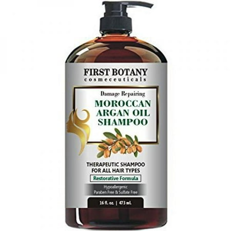 Moroccan Argan Oil Shampoo with Restorative Formula 16 fl. oz. Gentle & Sulfate Free for All Hair Types. Cleanses, Revives, Hydrates, Detangles Hair & Revitalizes the Scalp & (Best Hair Oil For Split Ends)