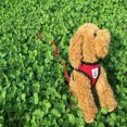 thumbnail image 3 of Ustyle Adjustable Mesh Breathable Dog Harness Pet Vest Rope Dog Strap On Chest Strap Set For Poodle Puppy, 3 of 5
