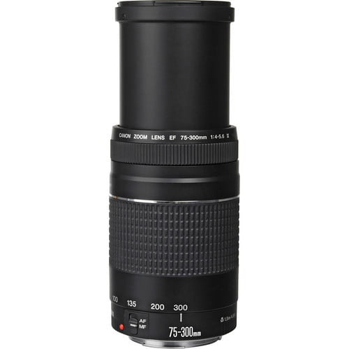 Sluiting tweede Hen Canon EF 75-300mm f/4-5.6 III Telephoto Zoom Lens for Canon SLR Cameras -  Walmart.com