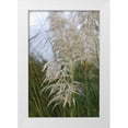 thumbnail image 3 of Erin Berzel 13x18 White Modern Wood Framed Wall Art Titled - Native Grass II, 3 of 5