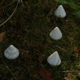 thumbnail image 2 of Guantes de juego para controlador de juegos móvil, material de fibra nano-plata con dedo táctil, guantes de pantalla táctil sin costuras, transpirables y antisudor de alta sensibilidad para juegos de, 2 of 3