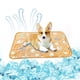 thumbnail image 1 of Manta para sofá, manta para mascotas, manta de franela, colchoneta para dormir para gatos y perros, colchoneta para dormir para mascotas pequeñas y medianas, cojín para gatos., 1 of 6