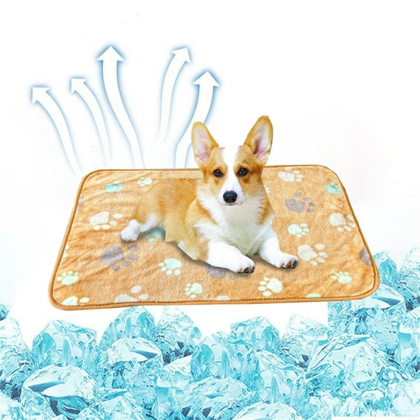 Manta para sofá, manta para mascotas, manta de franela, colchoneta para dormir para gatos y perros, colchoneta para dormir para mascotas pequeñas y medianas, cojín para gatos.