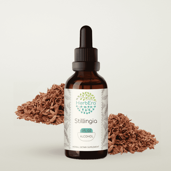 HerbEra Stillingia Tincture, Herbal Dietary Supplement for Lymphatic System Support, Stillingia (Stillingia sylvatica) Dried Root Extract, Natural, Alcohol Tincture, Drops 2 oz