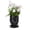 Black, variant on Creative Goddess Succulent Flower Pot