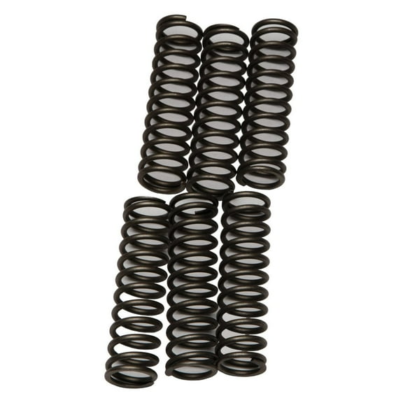 EBC CSK109 - CSK Series Heavy Duty Clutch Spring Kit