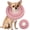 Pink, variant on Minzimin Dog Collar, Waterproof Soft Dog Cone After , Comfy Protective Elizabethan Collar Alternative for Dogs Cats, Adjustable Pet Neck Donut Cone Anti-Licking Biting Wounds 1Pack