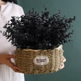 thumbnail image 3 of Viworld 12 Bundles Black Artificial Flowers, Fake Outdoor UV Resistant Plants Faux Plastic Greenery Shrubs Indoor Outside Hanging Planter Home Kitchen Office Wedding, Garden Decor (Black Eucalyptus), 3 of 6