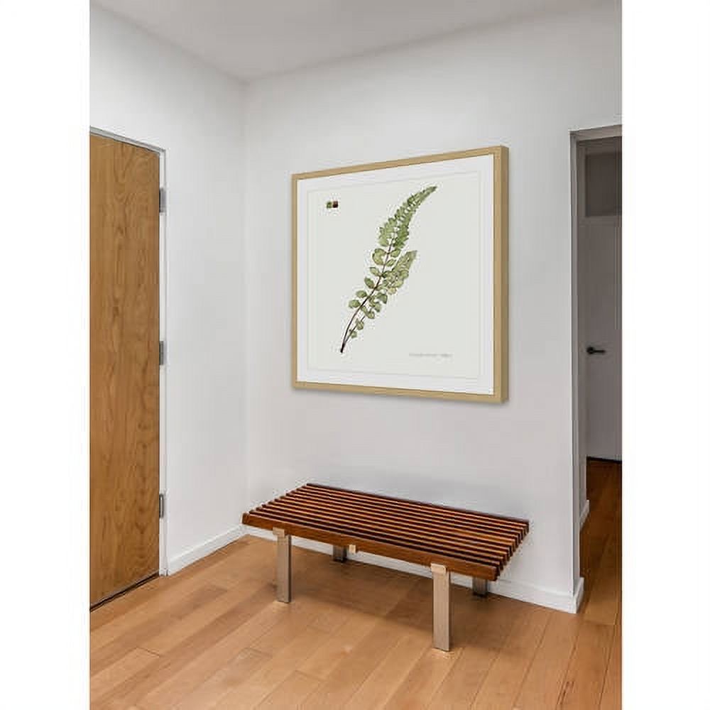 Marmont Hill "Leaf Study I" Framed Painting Print
