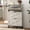 Beige, variant on Modern Shoe Cabinet with 2 Flip Drawers, Slim Entryway MDF Rack with Metal Legs