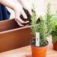 thumbnail image 3 of Minkissy 2 Set of Succulent Growing Tools Kit Assorted Color for Professional Growers, 3 of 4