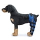 thumbnail image 5 of Rodillera para perro, soporte ajustable para pierna trasera doble para perro con soporte flexible con bisagras de metal y cinturones de seguridad reflectantes (azul), 5 of 6