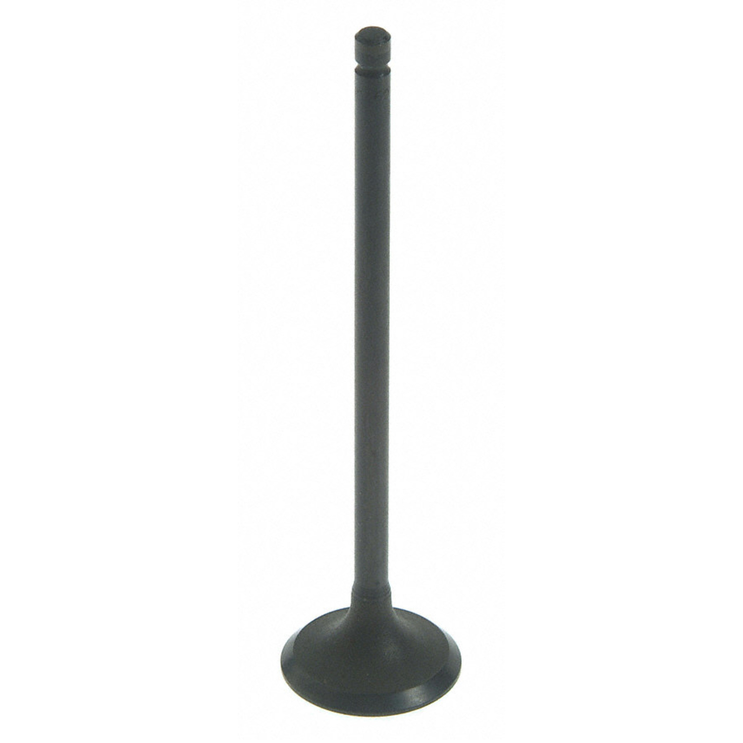Sealed Power V-2560 Engine Intake Valve