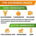 thumbnail image 3 of Liquid Glucosamine for Dogs (16 oz) - Joint Supplement w/Chondroitin, MSM, Collagen - Advanced Mobility Formula - Joint Pain Relief - Hip & Joint Care - Easy to Serve Drops - Made in USA, 3 of 8