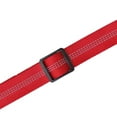 thumbnail image 6 of Durable Elastic Dog Leash with Reflective Strip and Secure Circular Ring for Pet Control, 6 of 7