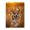 500 Pieces, variant on Running Corgi Golden Hour 500-Piece Wooden Jigsaw Puzzle for Adults, Fun & Challenging Family Game, Stylish Wall Decor & Holiday Gift