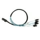 thumbnail image 4 of Cable Mini SAS a 4 SATA 7 pines 12 Gbps Cobre estañado Contactor chapado en oro Cable SFF 8087 a 4 SATA para chasis de escritorio 0,5 metros / 1,6 pies, 4 of 5