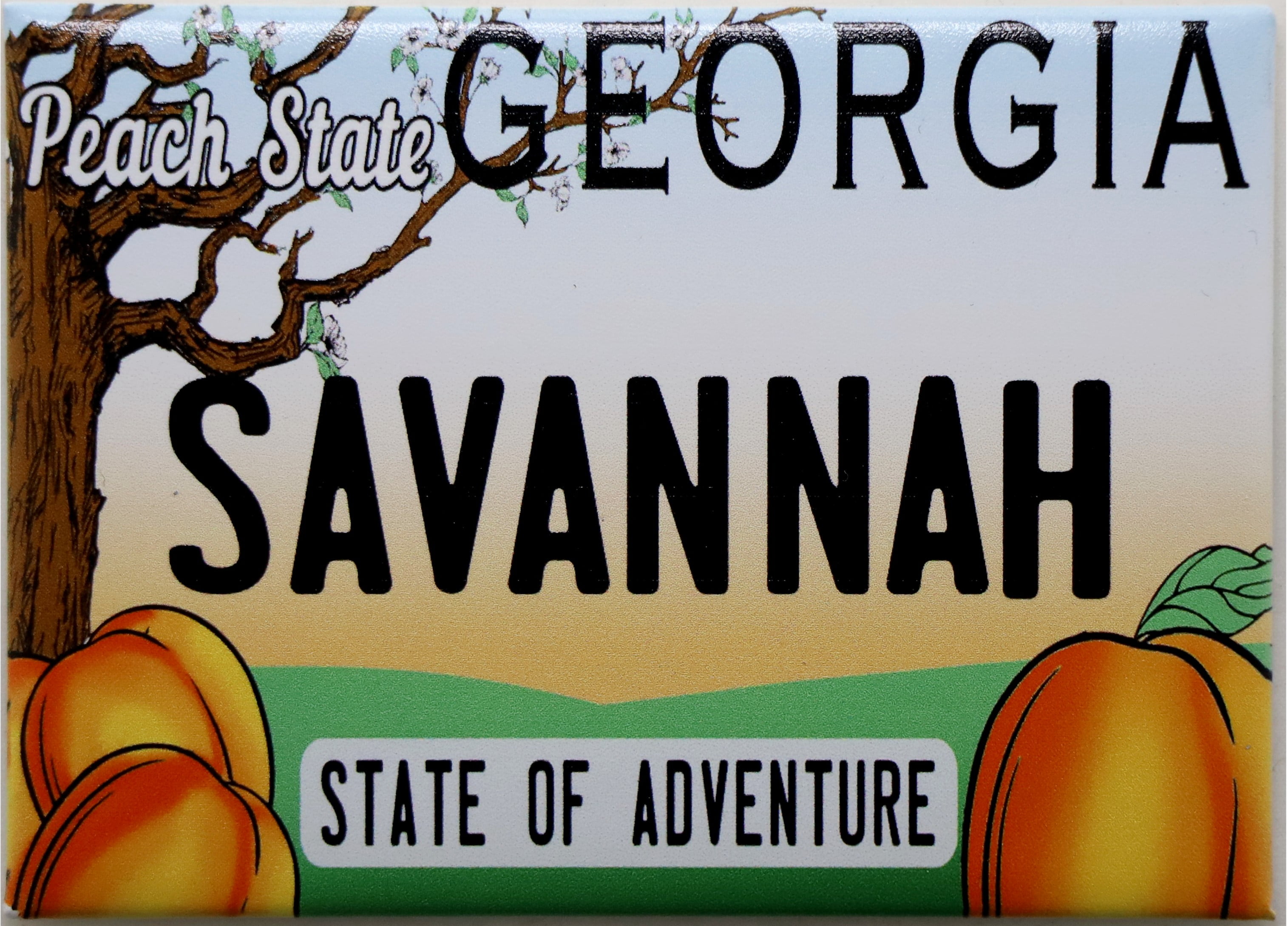Savannah License Plate Fridge Collector's Souvenir New