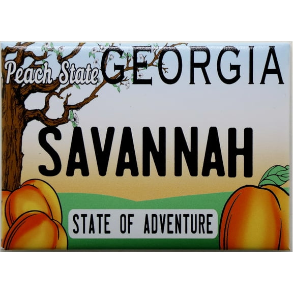 Savannah Georgia License Plate Fridge Collector's Souvenir Magnet New Design 2.5" X 3.5"