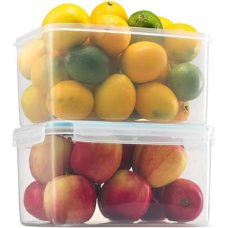 Komax Biokips Food Storage Lunch Container - Dividers with 4 Compartments 23oz.