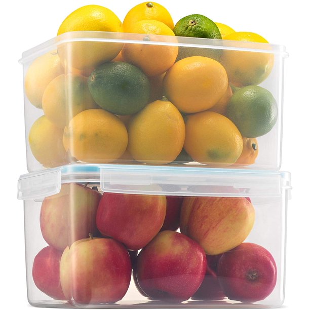 Komax Biokips 2-Pack Large Food Storage Containers (155-oz) - Walmart