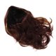 thumbnail image 1 of Long Highlight Wig Realistic Layered Fashionable Heat Resistant Synthetic Brown Wig for Women, 1 of 5