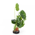 thumbnail image 1 of Vivid Refined Shape Aquarium Simulation Grass, Aquarium Artificial Grass, Simulation For Fish, 1 of 8