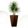 thumbnail image 2 of LeisureMod Aloe Fiberstone and MgO Clay Planter, Mid-Century Modern Tapered Square Planter Pot for Indoor and Outdoor (Brown, 29" Height), 2 of 7