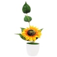 thumbnail image 1 of Simulated Green Potted Plant Fake Flower Bonsai Fake Plant Decoration Home Decor, 1 of 8