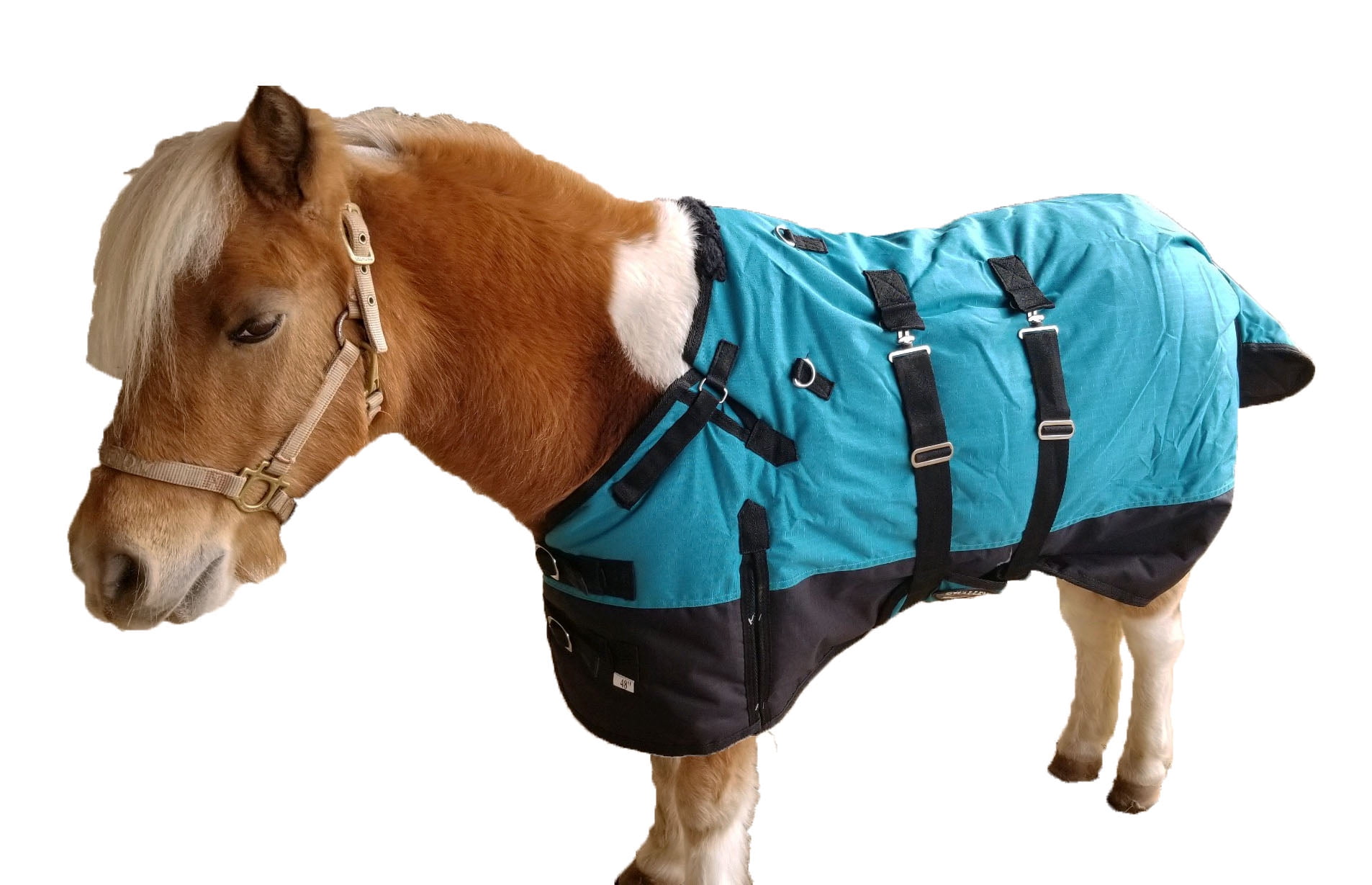 600D Miniature Weanling Donkey Foal Pony Horse Winter Blanket 51936B