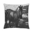 thumbnail image 2 of Ahgly Company Animals Zebra Indoor Throw Pillow, 18 inch by 18 inch, 2 of 6