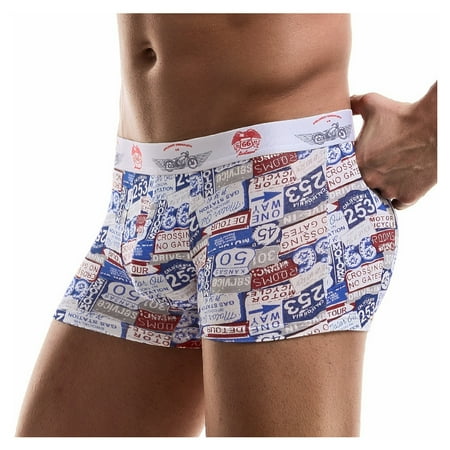 

KDDYLITQ Graphic Comfort Male Briefs Breathable Soft Trunks Pouch Stretch Underwear for Men Blue L