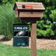 thumbnail image 3 of Bandera WinCraft Philadelphia Eagles 2 Time Champions 32 x 45 cm, 3 of 5