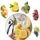 thumbnail image 4 of Lemon Squeezer Hand Manual Lemon Squeezers - Lime Hand Juice Lemon, 4 of 4