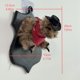 thumbnail image 3 of Decoración de pared de hámster vaquero | Arte de taxidermia de ardilla | Escultura de animal del oeste para el hogar y la oficina | Adorno de pared único para amantes de los animales, 3 of 8