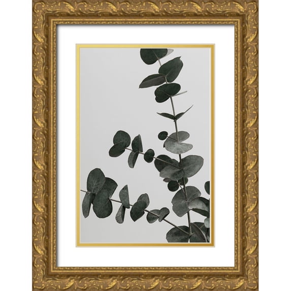 Artographie Studio 23x32 Gold Ornate Wood Framed with Double Matting Museum Art Print Titled - Eucalyptus Natural 05