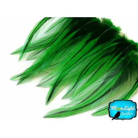 Kelly Lace - 10 Pieces - Kelly Green Laced Medium Rooster Cape Feathers