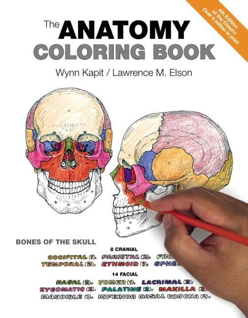 Download The Anatomy Coloring Book Paperback Walmart Com Walmart Com