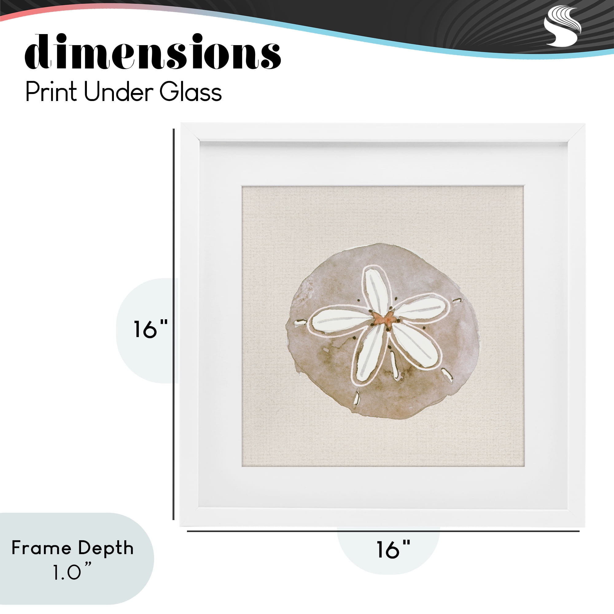 Stupell Industries Serene Beige Sand Dollar White Framed Print Under Glass, design by Lanie Loreth