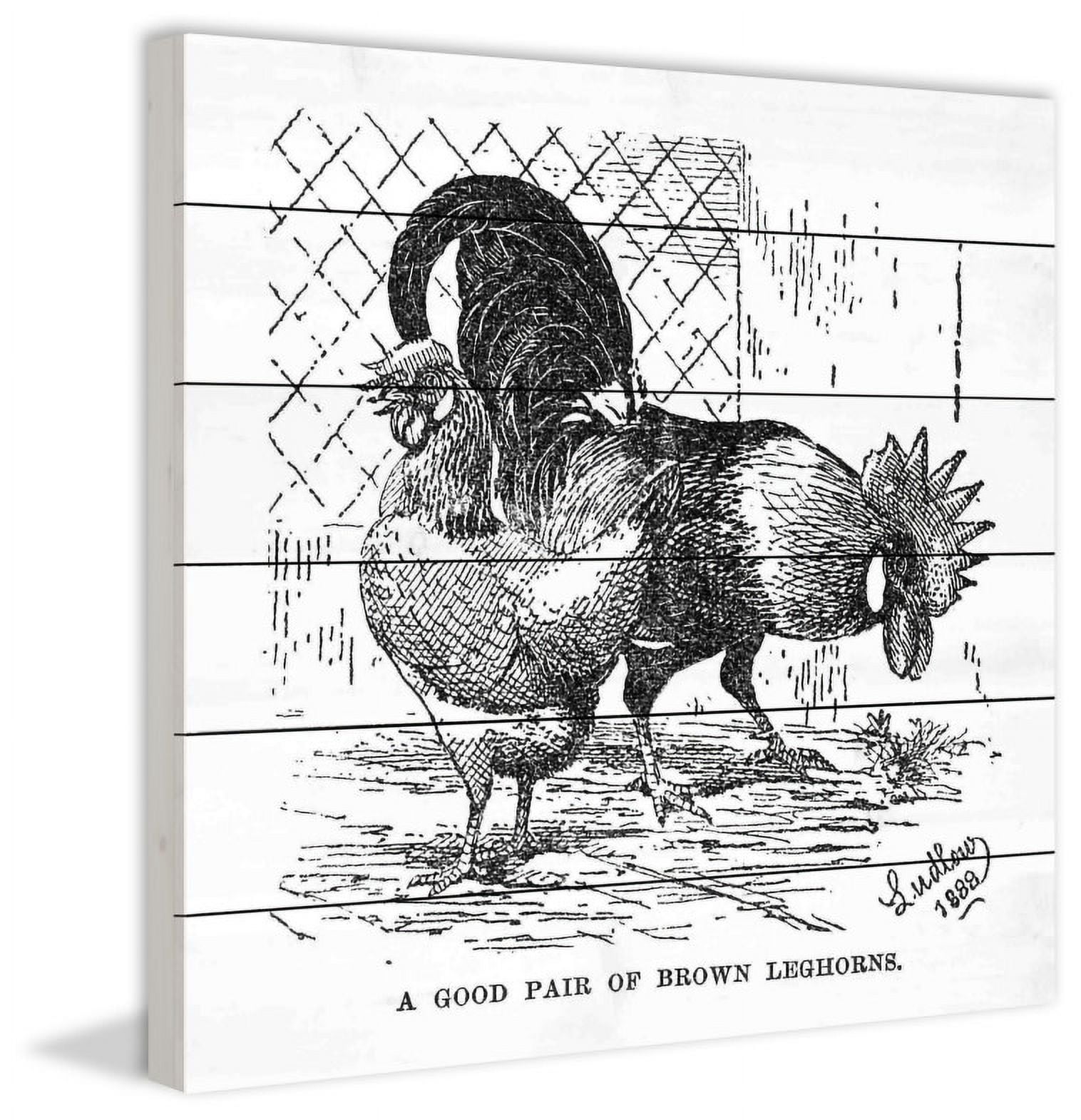 Marmont Hill "Brown Leghorns" Painting Print on White Wood